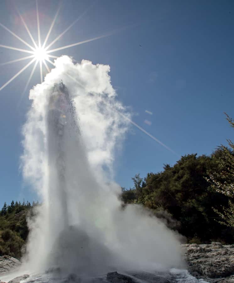From Auckland: Wai-O-Tapu & Polynesian Spa Rotorua Day Tour - Why this day trip works from Auckland