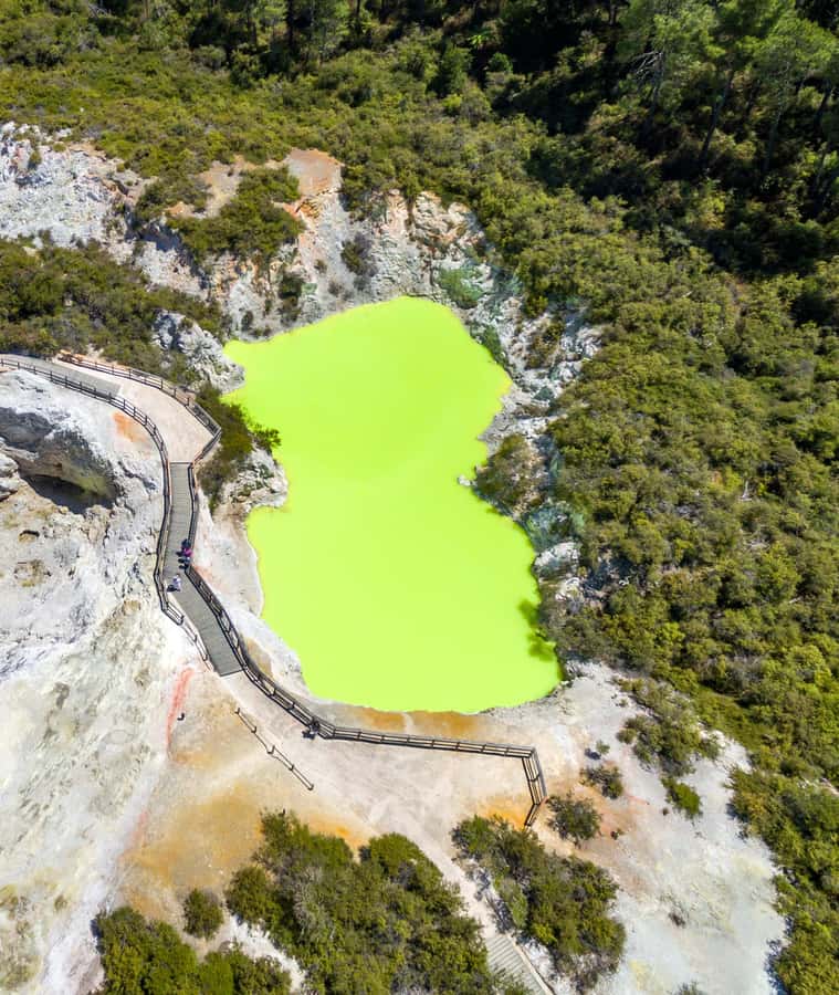 From Auckland: Wai-O-Tapu & Polynesian Spa Rotorua Day Tour - Who should book this 12-hour experience?