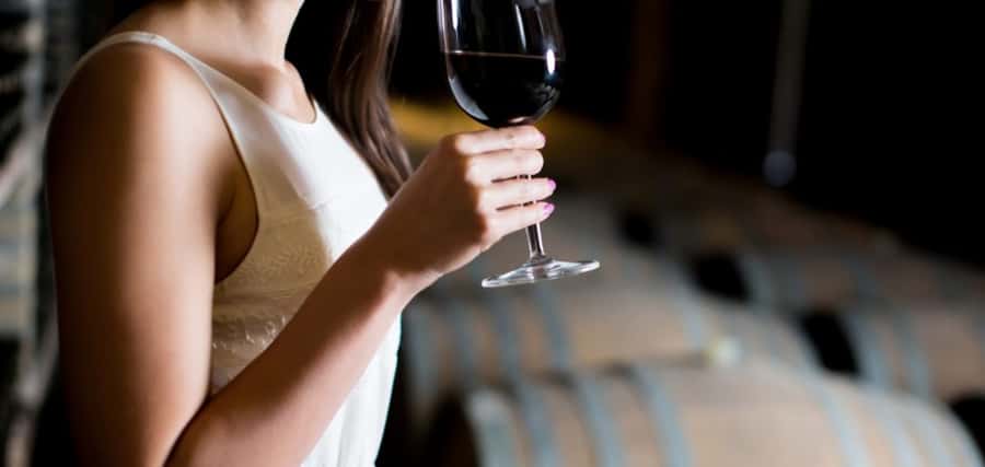 From Auckland: Waiheke Island Wineries' Tour - Why Waiheke works so well as a wine day trip