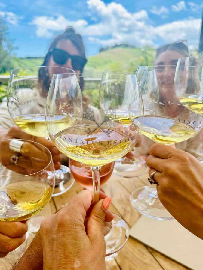 From Auckland: Waiheke Island Wineries' Tour - The first winery sets the tone