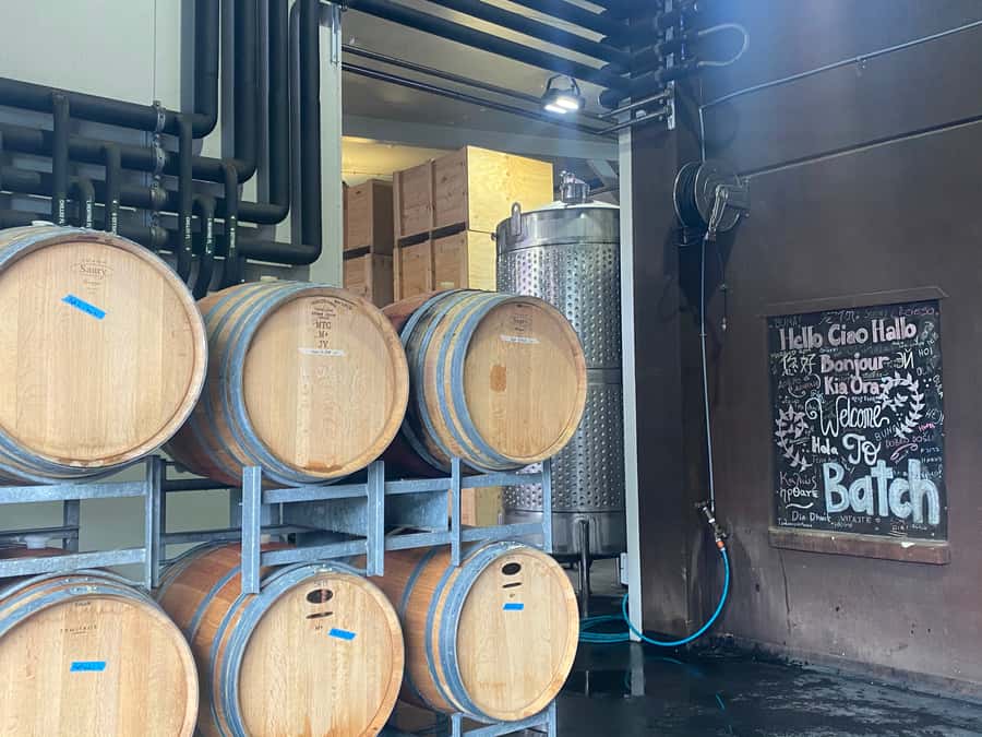 From Auckland: Waiheke Island Wineries' Tour - Four stops, four different impressions