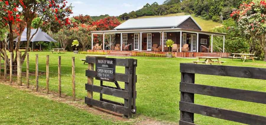 From Auckland: Waiheke Island Wineries' Tour - Who will enjoy this tour most