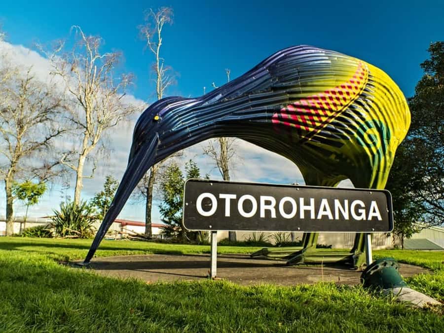 From Auckland: Waitomo Caves and Kiwi House Group Tour - Who should book this experience?