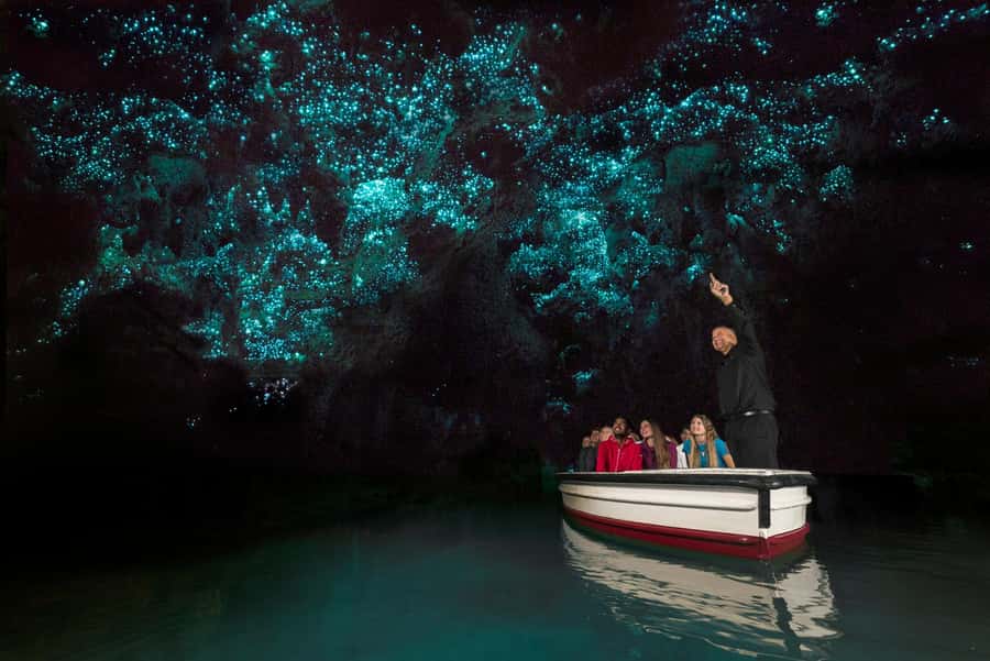 From Auckland: Waitomo Glow Worm Caves & Rotorua Tour - Why this Auckland day trip works