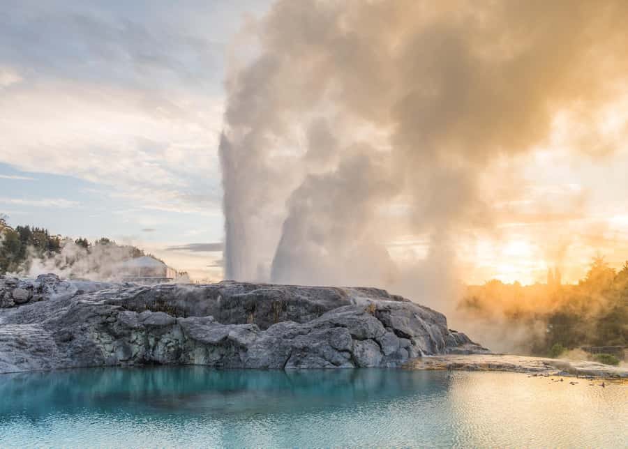 From Auckland: Waitomo Glow Worm Caves & Rotorua Tour - Rotorua and Te Puia’s geothermal ground