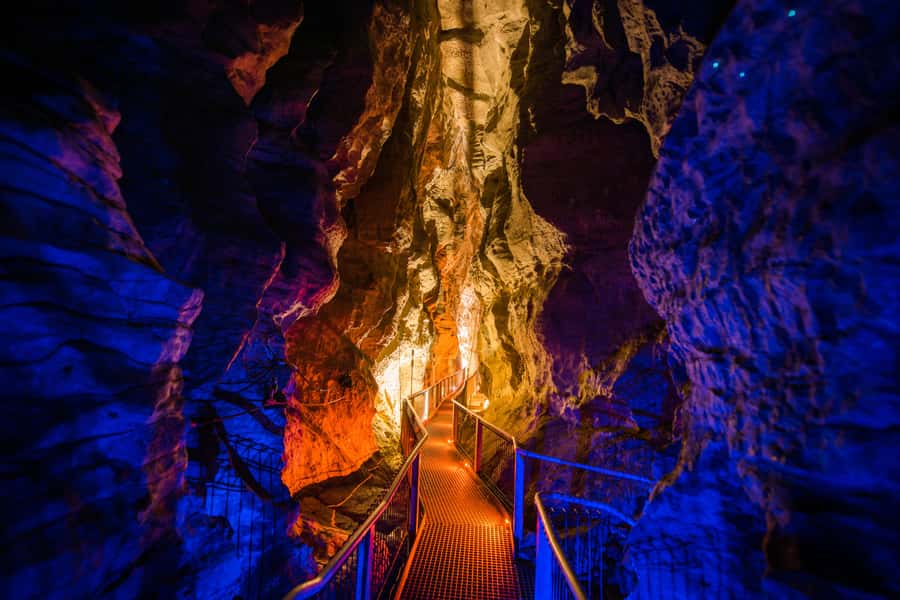 From Auckland: Waitomo Glowworm and Ruakuri Caves Day Tour - Key points to know before booking