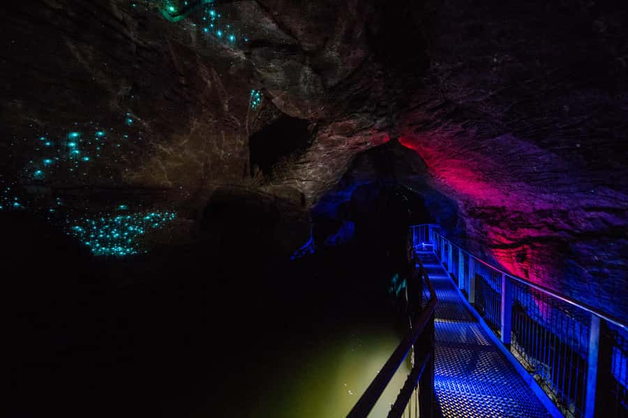 From Auckland: Waitomo Glowworm and Ruakuri Caves Day Tour - Is $283 a fair price?