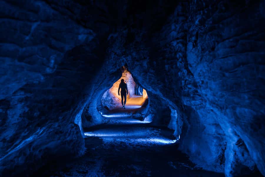 From Auckland: Waitomo Glowworm and Ruakuri Caves Day Tour - Who should book this Waitomo day trip?