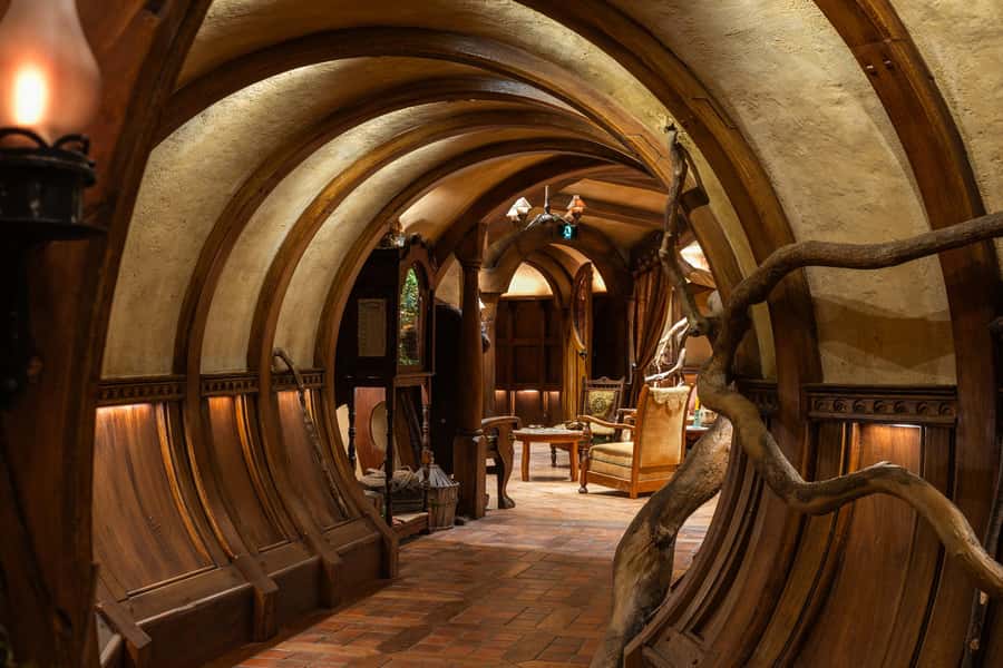 From Auckland: Waitomo & Hobbiton Bus Tour with Lunch - Key points at a glance