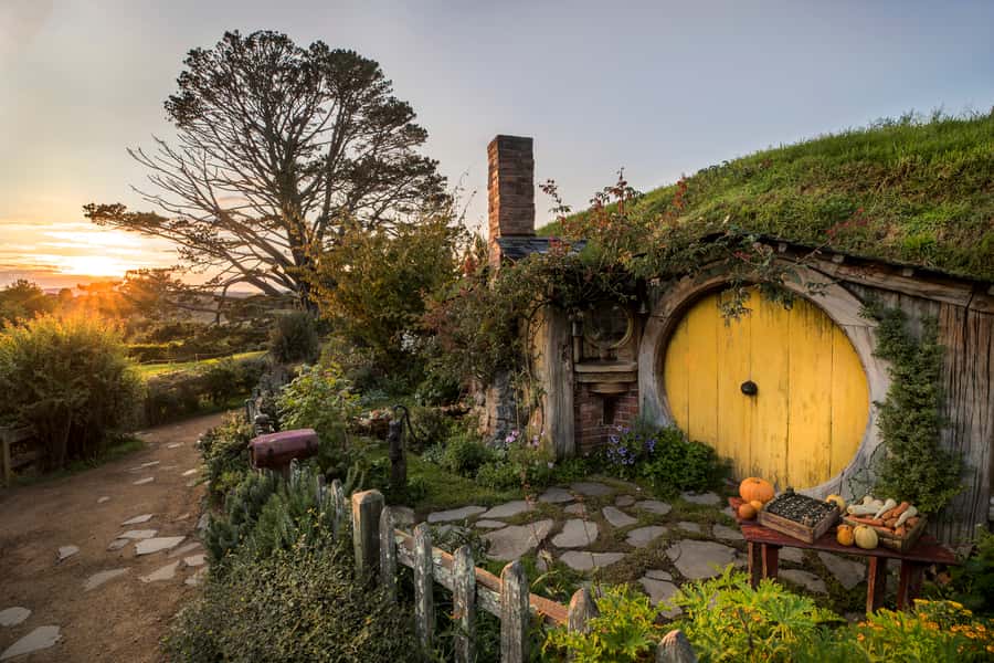 From Auckland: Waitomo & Hobbiton Bus Tour with Lunch - Why this day trip works from Auckland