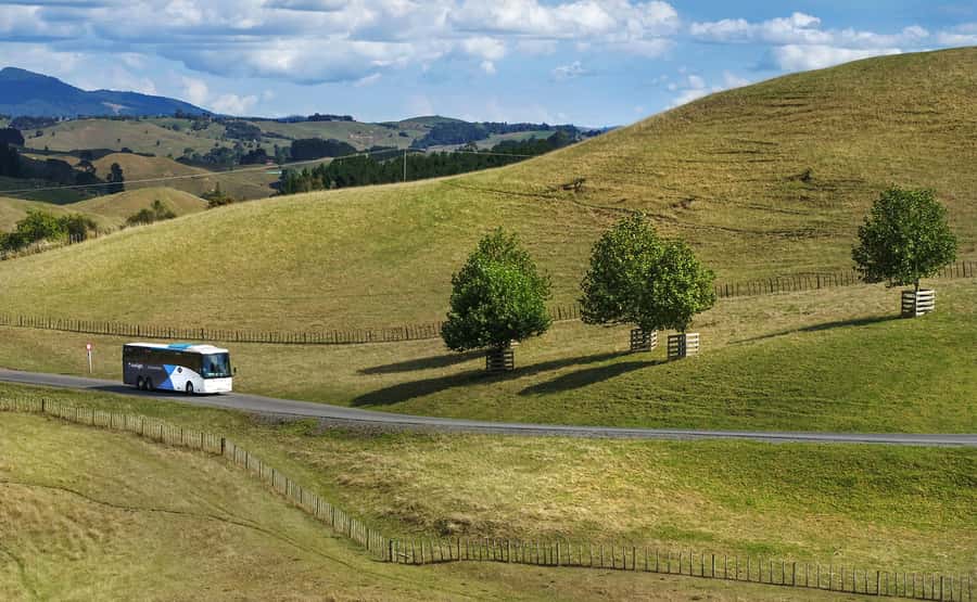 From Auckland: Waitomo & Hobbiton Bus Tour with Lunch - The journey back to Auckland