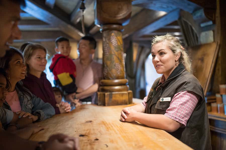 From Auckland: Waitomo & Hobbiton Bus Tour with Lunch - Final verdict: book it for the combination
