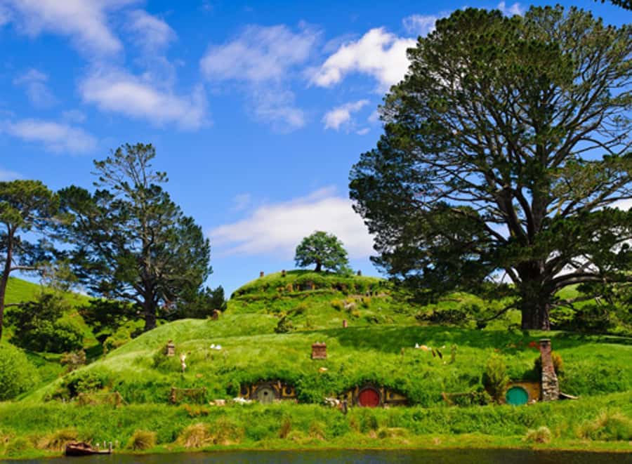 From Auckland: Waitomo & Hobbiton Bus Tour with Lunch - The Auckland departure and long road south