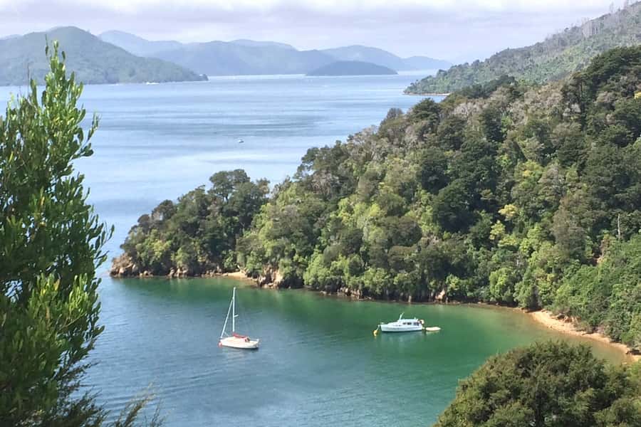 From Blenheim/Picton: Marlborough Gourmet Wine Tasting Tour - Key points to know before booking