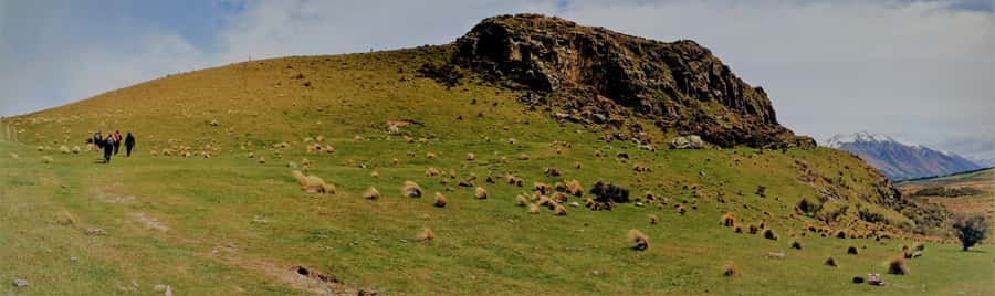 From Christchurch: Full-Day Lord of the Rings Tour to Edoras - Is the $194 price good value?