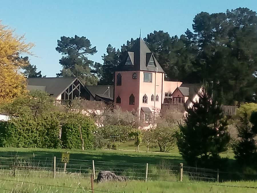 From Christchurch: Guided Local Wine Tours in Waipara - Key points at a glance