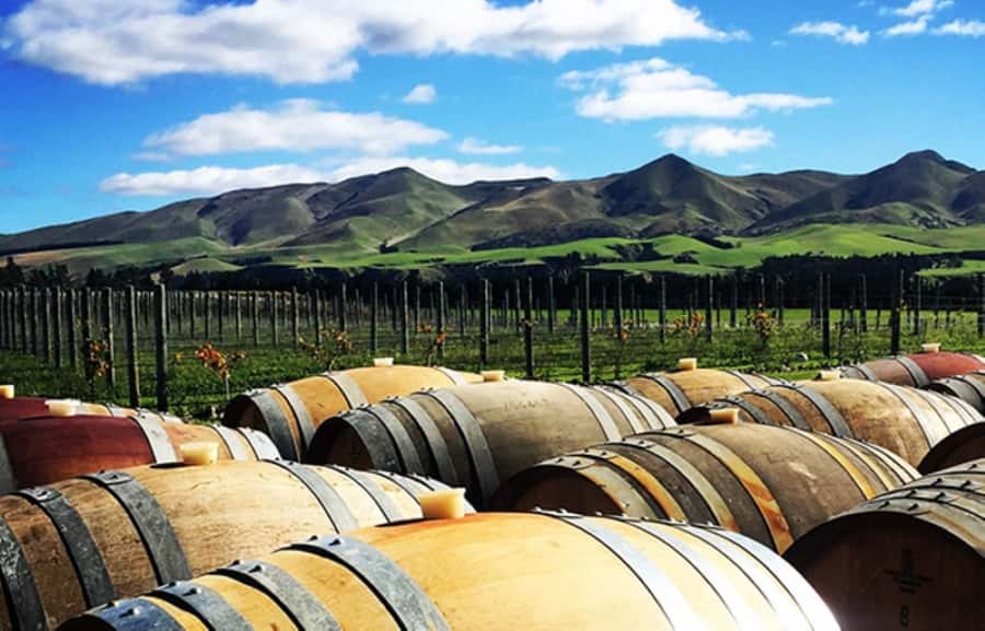 From Christchurch: Guided Local Wine Tours in Waipara - Why Waipara Makes a Good Christchurch Day Trip