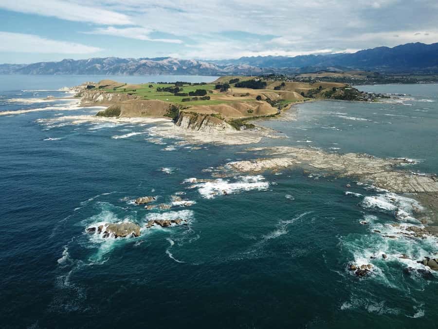 From Christchurch: Kaikōura Day Tour With Dolphin Encounter - Why Kaikōura makes a strong day trip from Christchurch