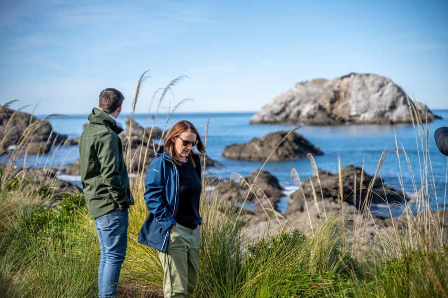 From Christchurch: Kaikōura Day Tour With Dolphin Encounter - The Dolphin Encounter: the reason to book