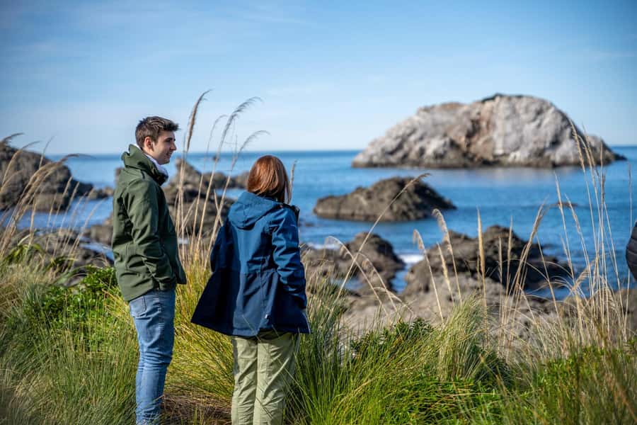 From Christchurch: Kaikōura Day Tour with Whale Watching - The early Christchurch pickup and coastal road