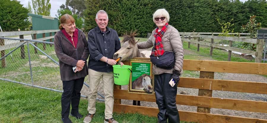 From Christchurch: Sheep Farm Experience with Lunch & Winery - Key points at a glance