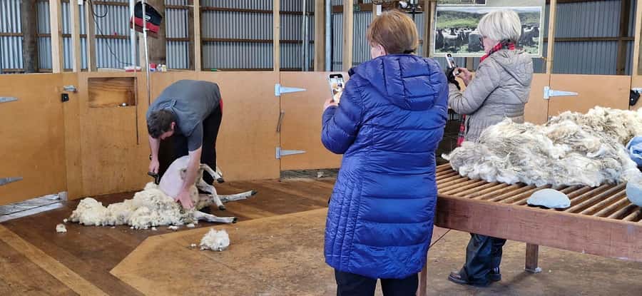 From Christchurch: Sheep Farm Experience with Lunch & Winery - The long return and Christchurch sightseeing loop