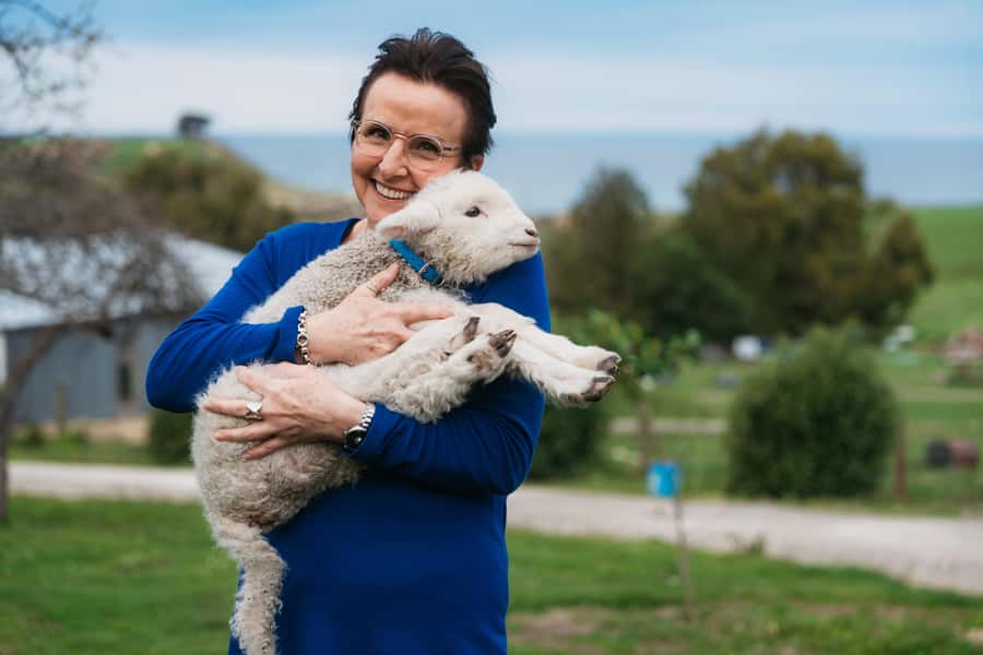 From Christchurch: Sheep Farm Experience with Lunch & Winery - The morning ride from Christchurch to Glenafric