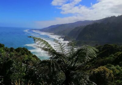 Highlights West Coast Day Tour
