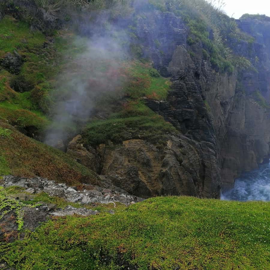 From Greymouth: Highlights West Coast Day Tour - 10:00am photo stops along the Coast Road
