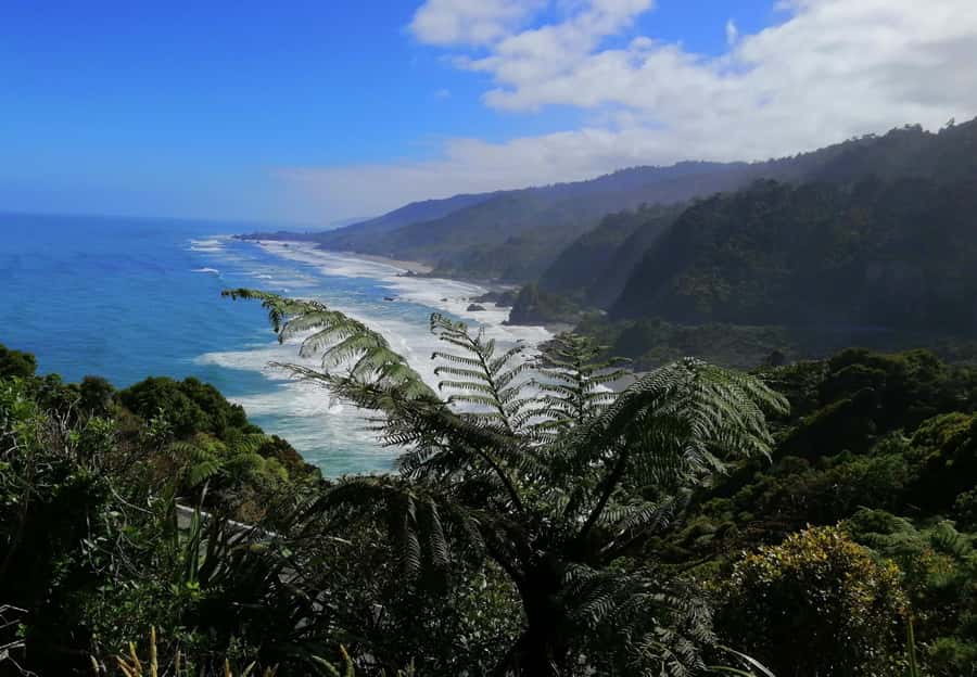 From Greymouth: Highlights West Coast Day Tour - 8:30am from Greymouth, then the Coast Road