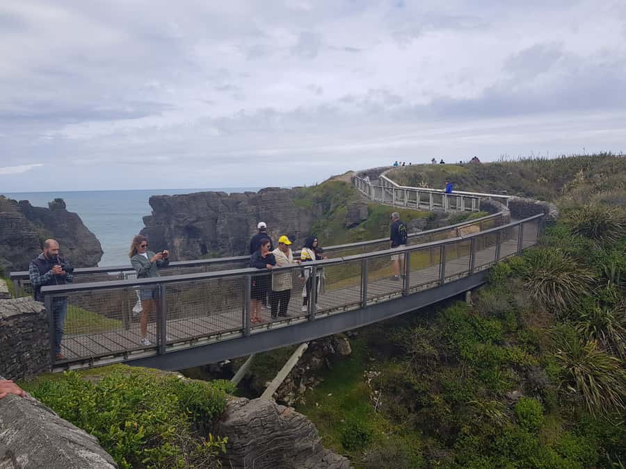 From Greymouth: Punakaiki Blowholes & Pancake Rocks Tour - Why this short West Coast tour works