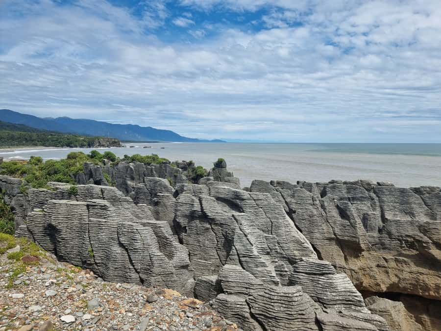 From Greymouth: Punakaiki Blowholes & Pancake Rocks Tour - The Truman Track and its sandy bay