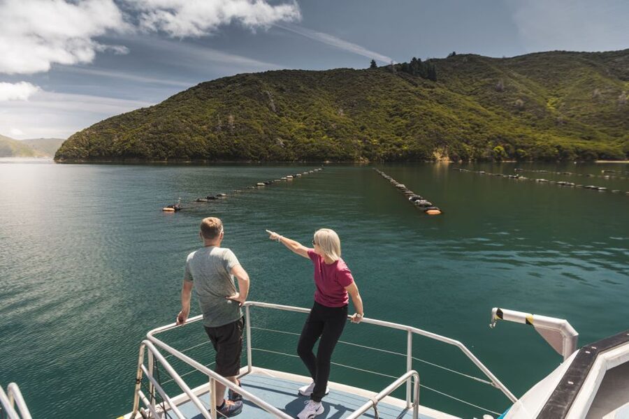 From Havelock: Marlborough Sounds Mail Boat Full-Day Cruise - The Greenshell mussel farm stop