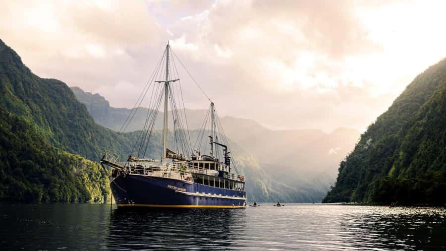 From Manapouri: Doubtful Sound Overnight Cruise - Dolphins, Seals, and Penguins in the Fiord
