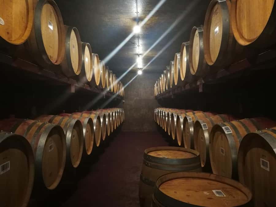 From Napier: Hawke's Bay Small Group Wine Capita Tour - Guides who bring Napier to life