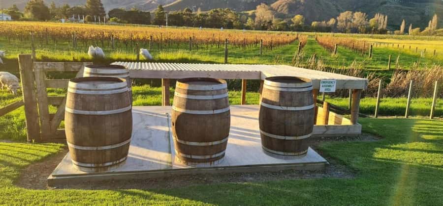From Napier: Hawke's Bay Small Group Wine Capita Tour - What the day may feel like