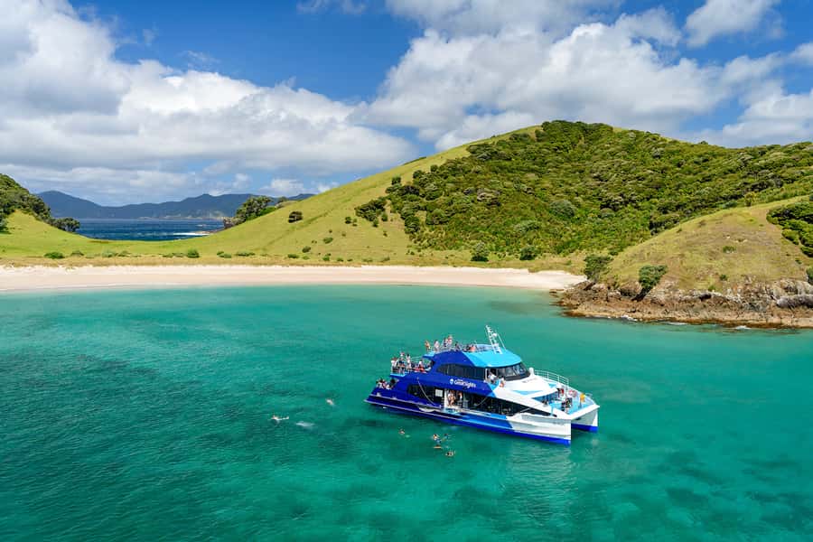 From Paihia: Full-Day Bay of Islands Cruise - Passing the Black Rocks and searching for wildlife