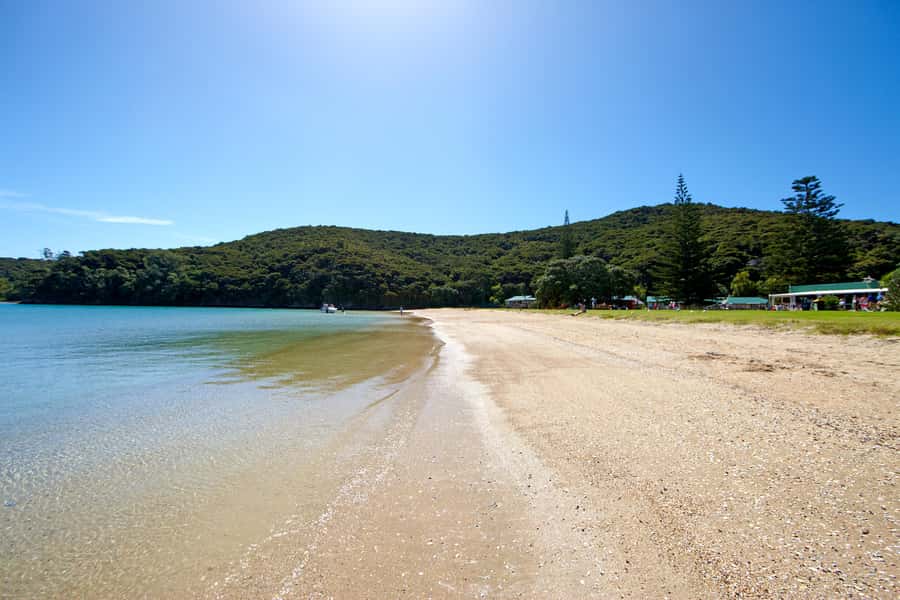 From Paihia: Full-Day Bay of Islands Cruise - The Hole in the Rock and a memorable boat passage