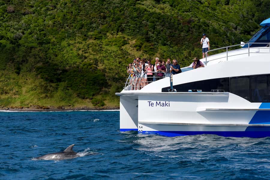 From Paihia: Full-Day Bay of Islands Cruise - Is $116 good value for eight and a half hours?