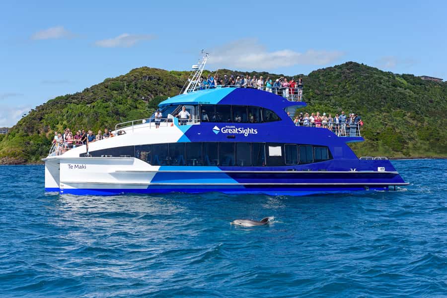 From Paihia: Full-Day Bay of Islands Cruise - Who will enjoy this Paihia cruise most?