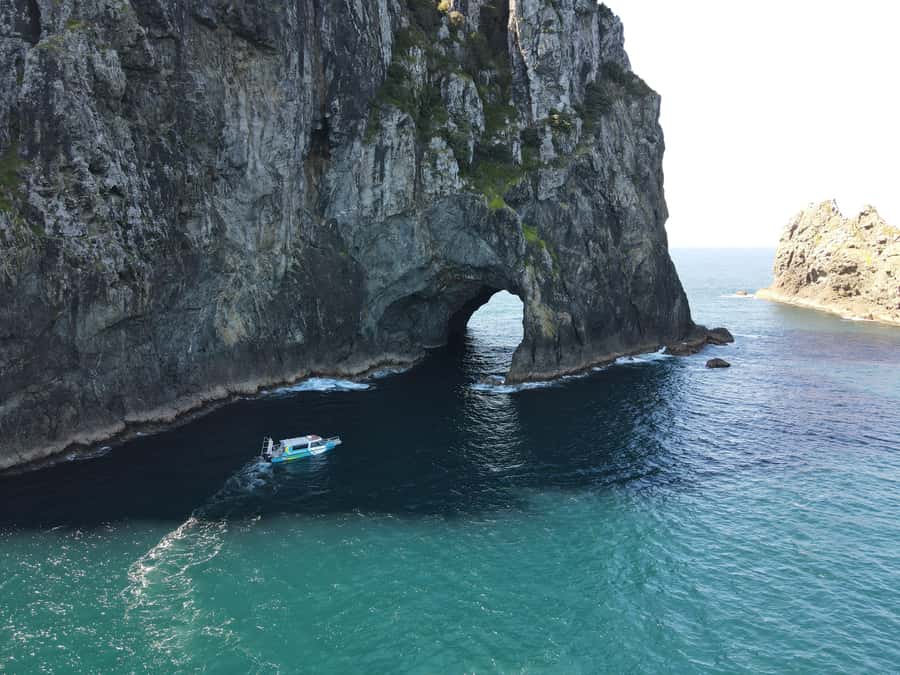 From Paihia: Hole in the Rock Cruise & Island Tour: 3 Hour - Why this three-hour trip works well