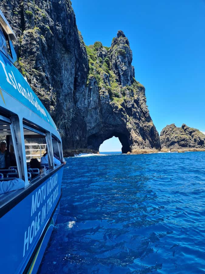 From Paihia: Hole in the Rock Cruise & Island Tour: 3 Hour - The Hole in the Rock is the main event