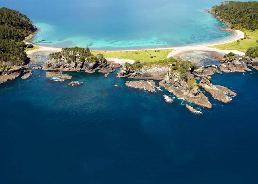 From Paihia: Hole in the Rock Cruise & Island Tour: 3 Hour - Roberton Island and the Twin Lagoons lookout