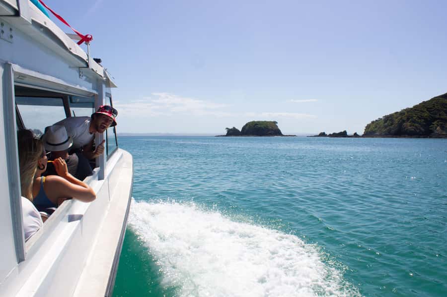 From Paihia: Hole in the Rock Cruise & Island Tour: 3 Hour - My verdict on the $86 value