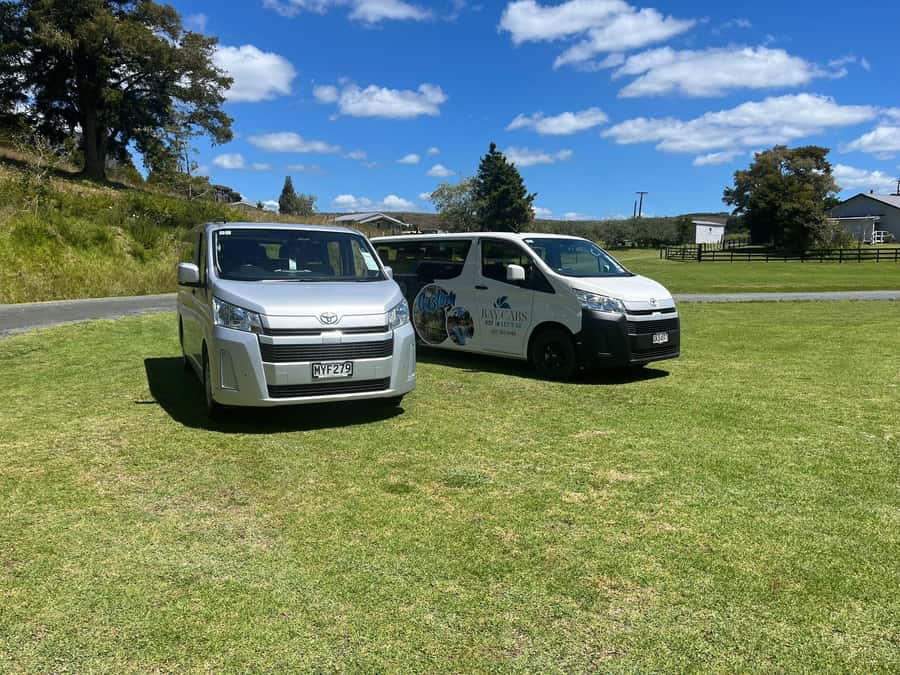 From Paihia: Kawiti Glowworm Caves Guided Tour - From Waitangi Wharf to Waiomio