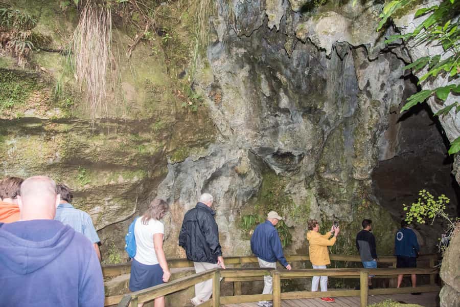 From Paihia: Kawiti Glowworm Caves Guided Tour - Entering the limestone caves