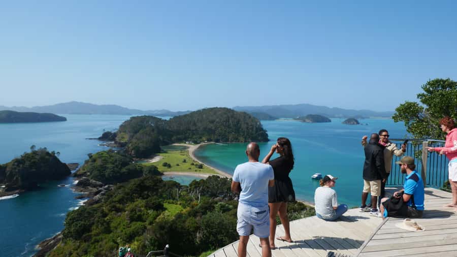 From Paihia: Scenic Cruise with Roberton Island Stopover - What $78 buys you