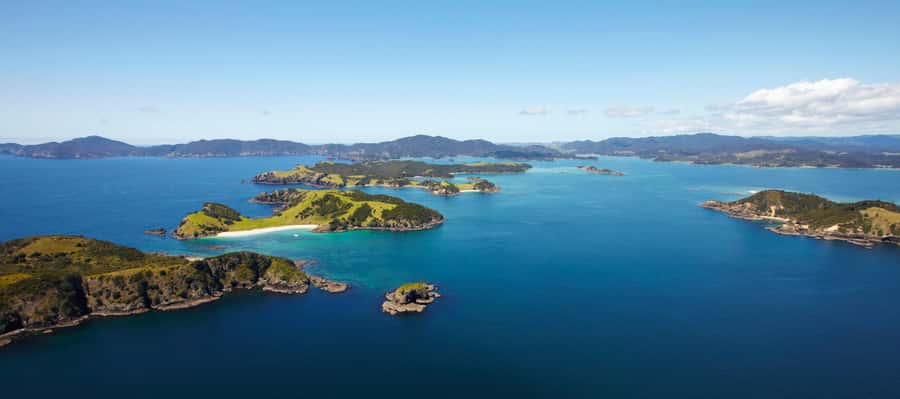 From Paihia: Scenic Cruise with Roberton Island Stopover - Who will enjoy this cruise most