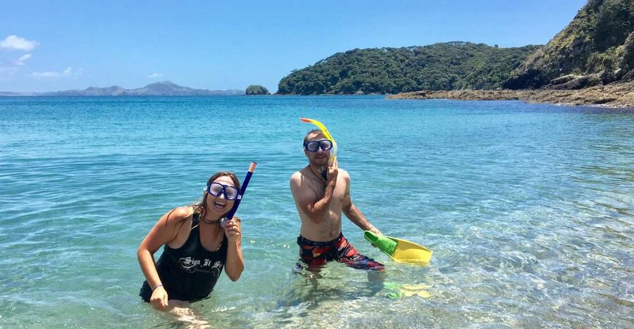 From Paihia: Scenic Cruise with Roberton Island Stopover - Practical tips for a better outing