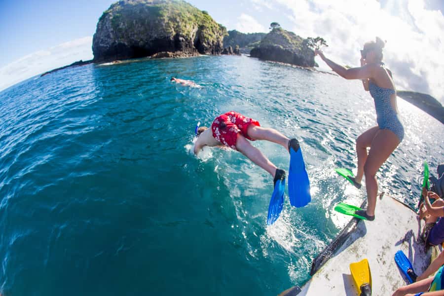 From Paihia: The Rock Adventure Overnight Cruise - Collecting seafood from the outer reefs